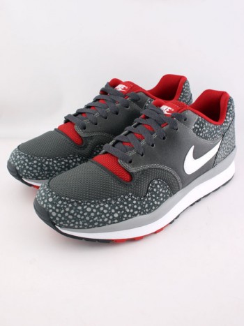 Nike Air Safari Silver